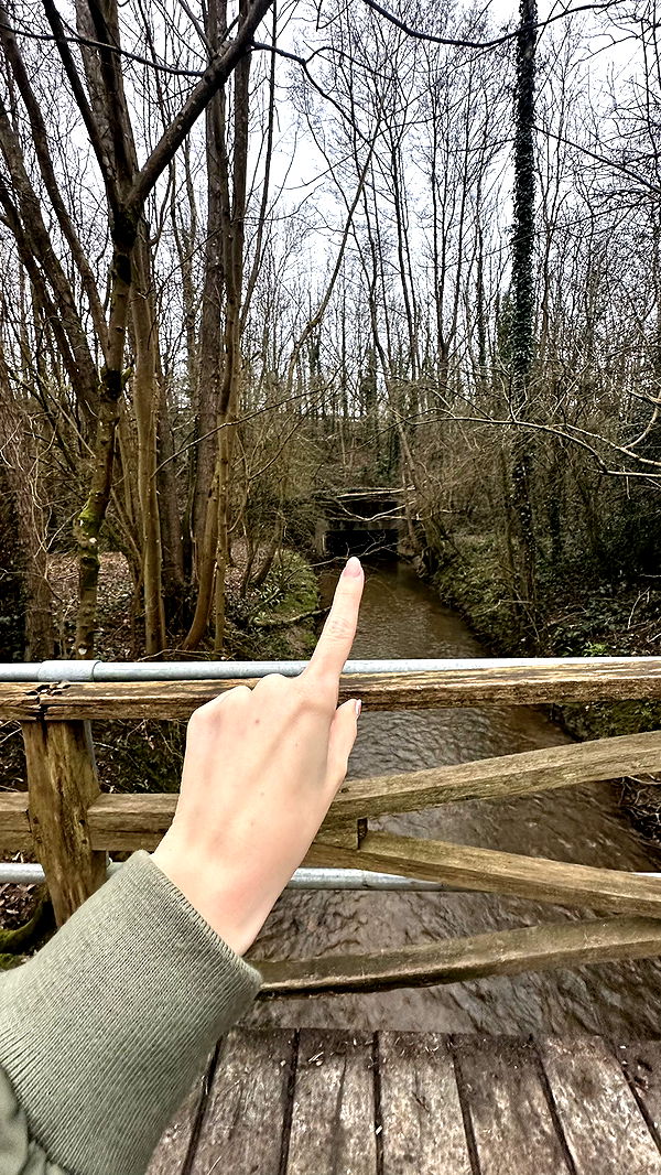 mira.0004 image ~ Altpins