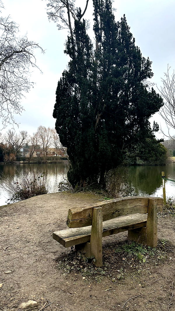 mira.0004 image ~ Altpins