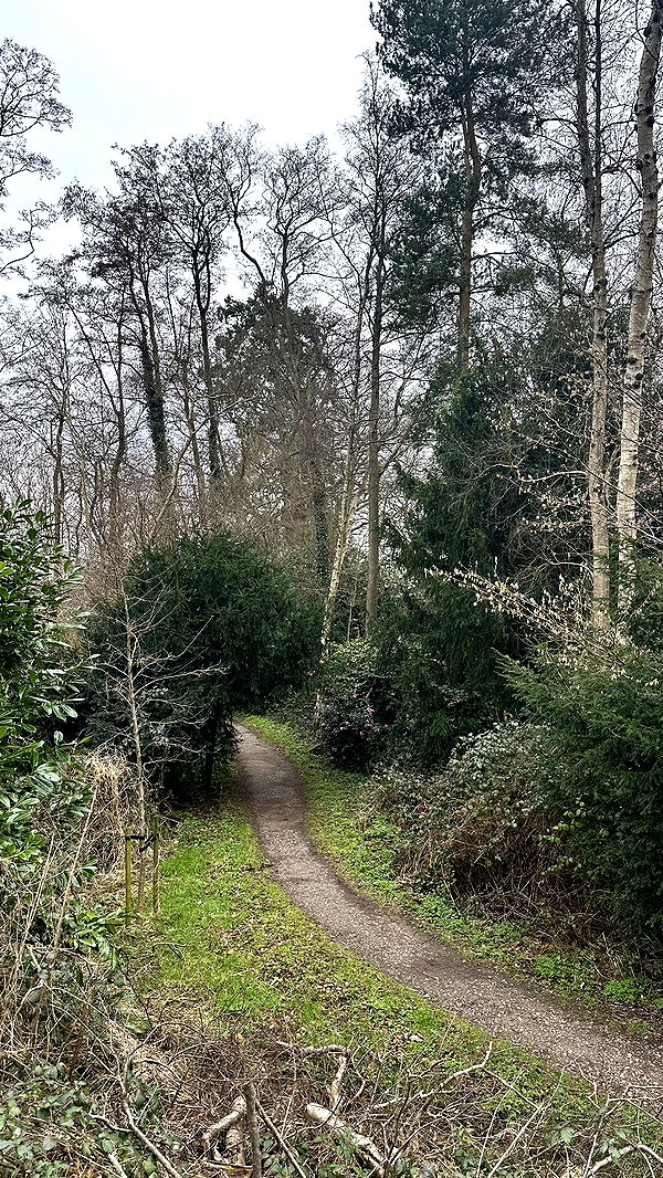 mira.0004 image ~ Altpins