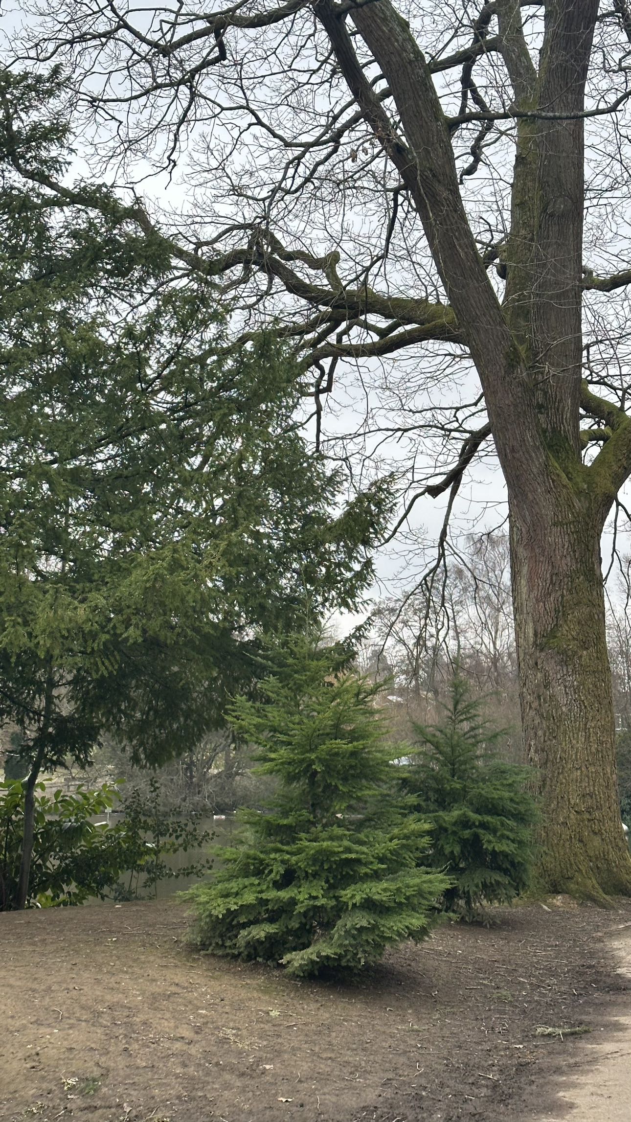 mira.0004 snapchat image archive image