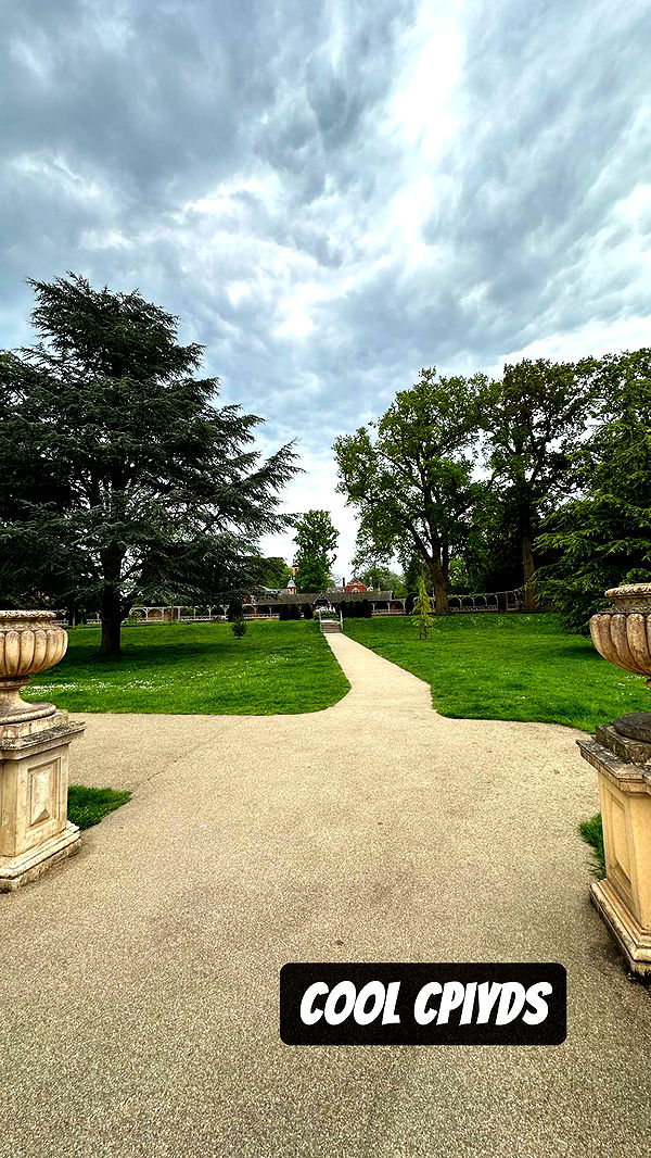 mira.0004 image ~ Altpins