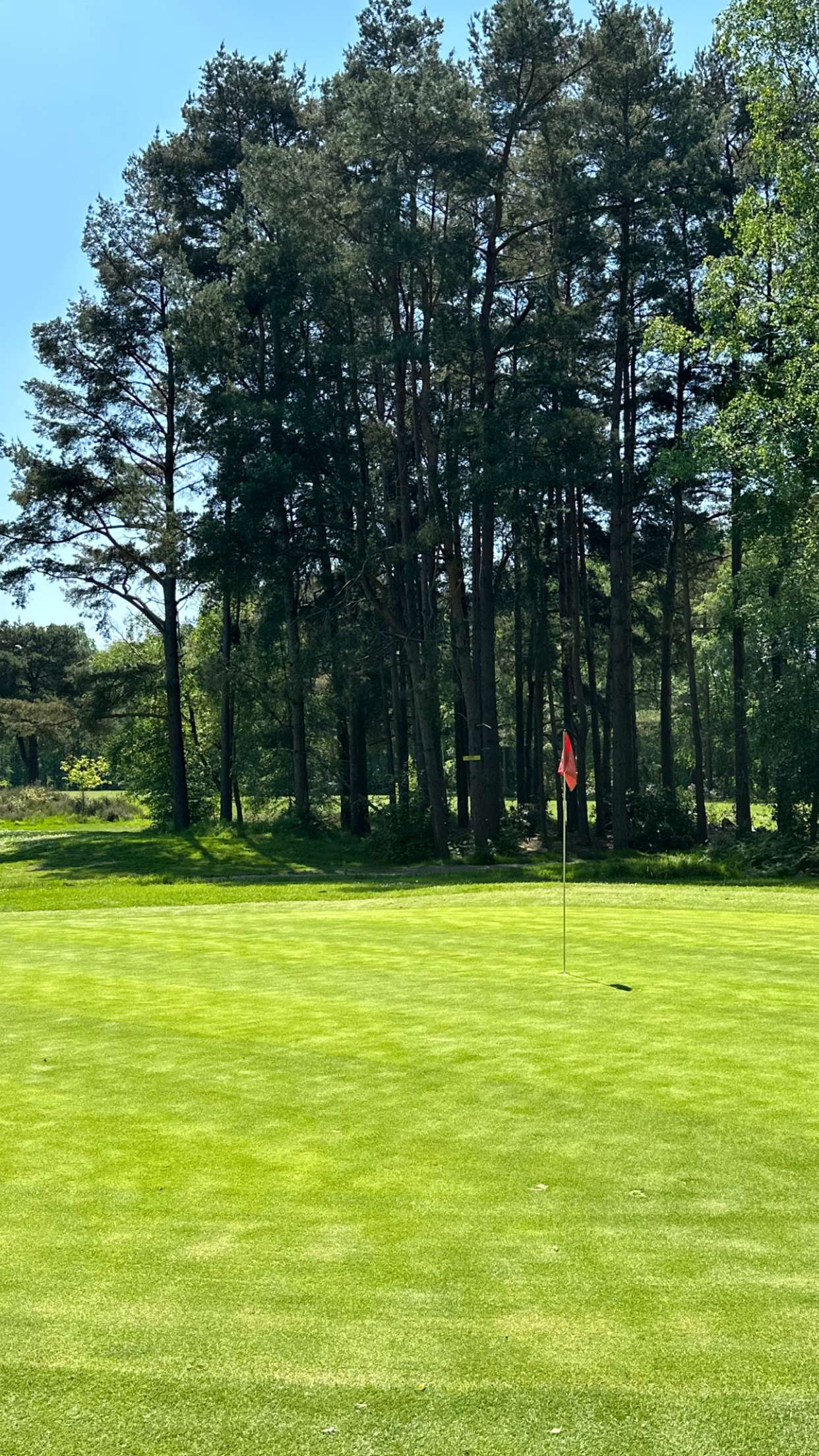 mira.0004 snapchat image archive image