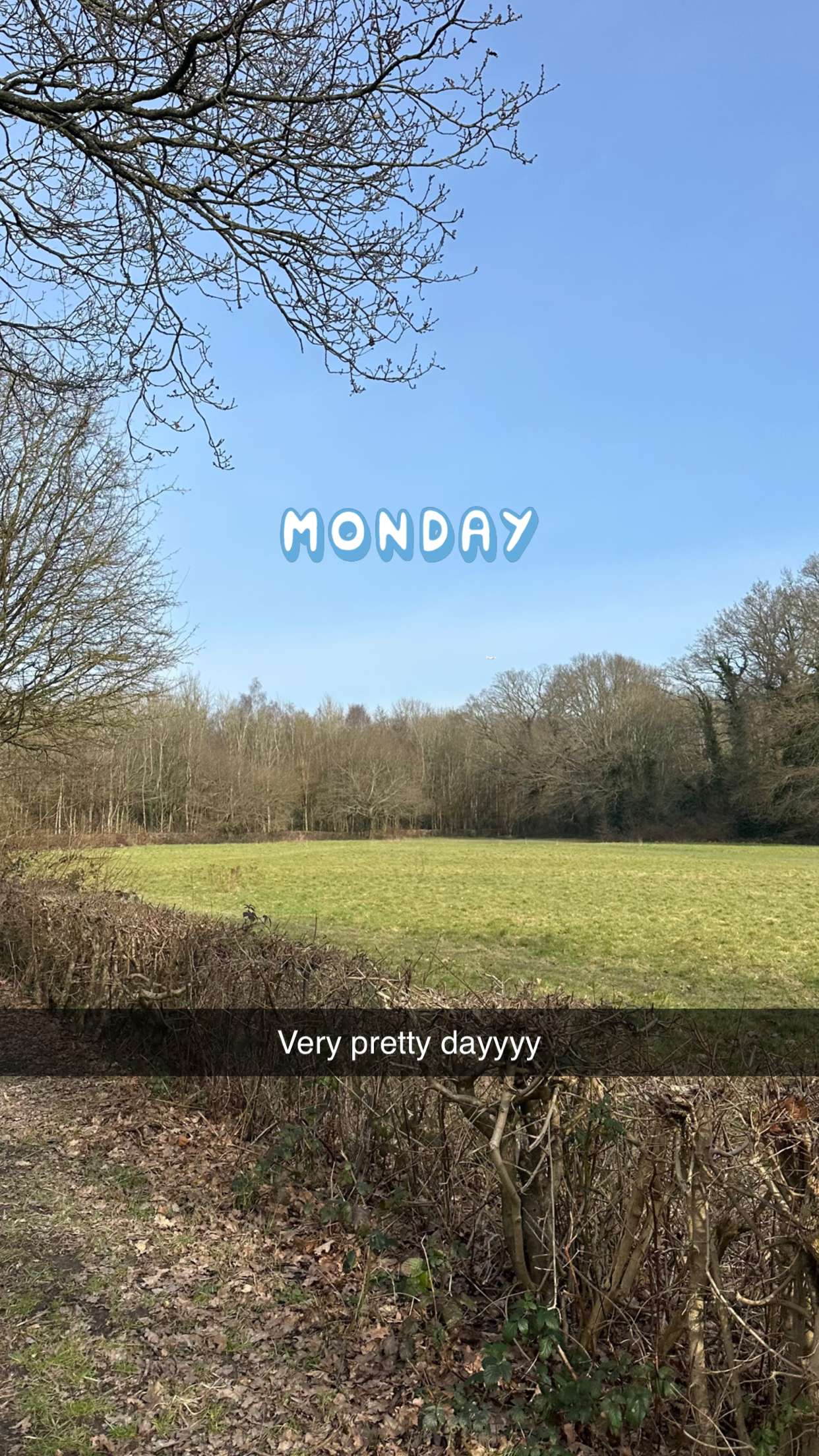 mira.0004 snapchat image archive image