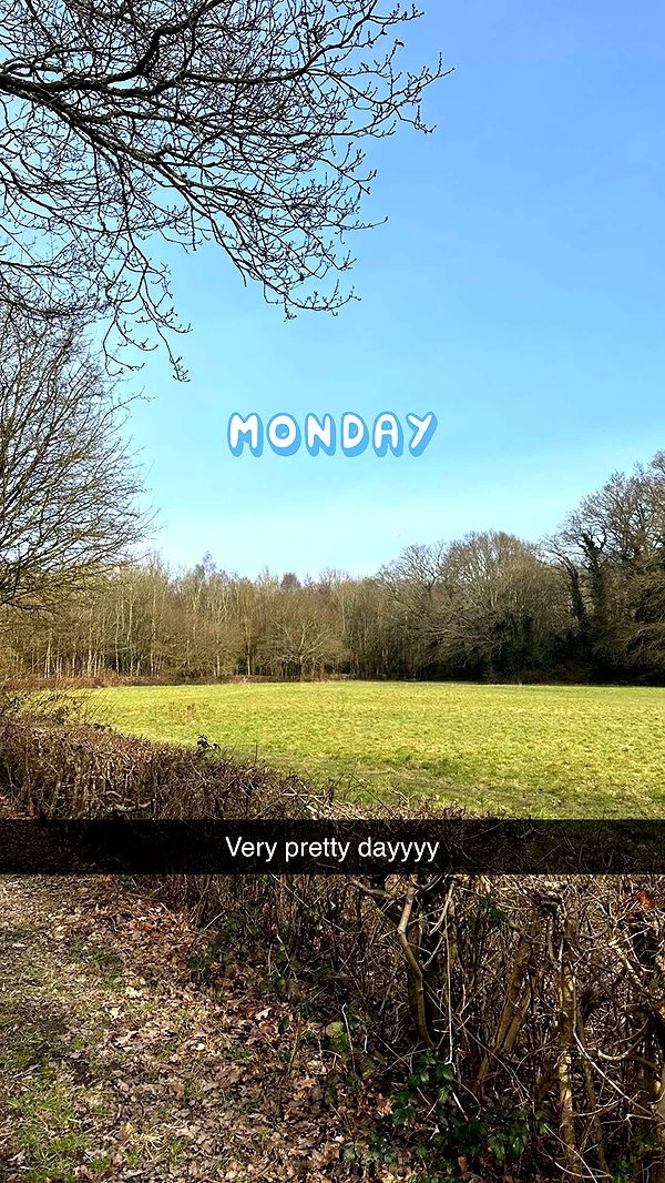 mira.0004 image ~ Altpins