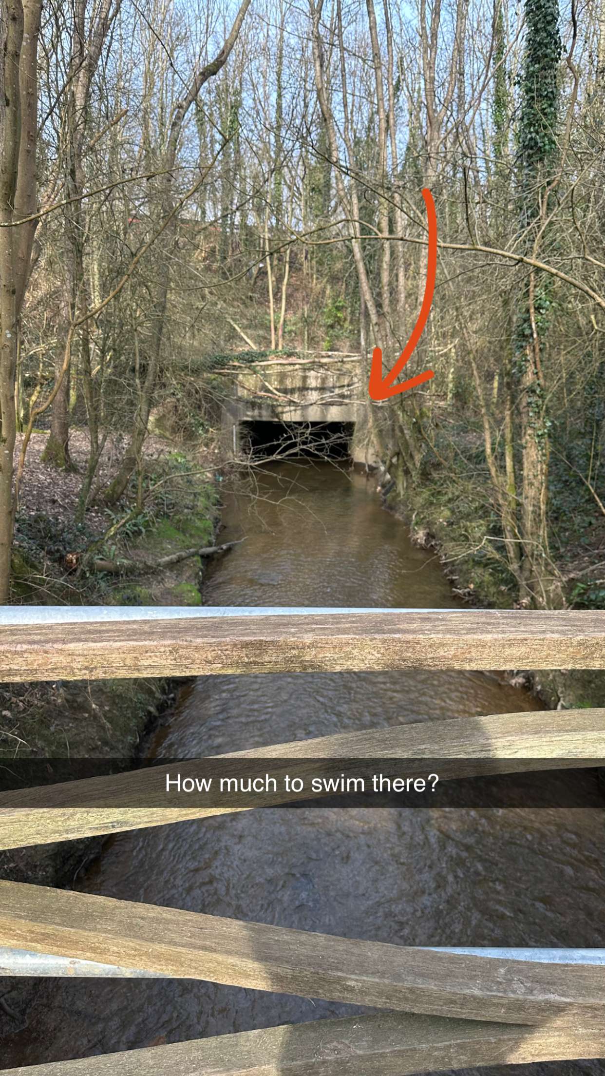 mira.0004 snapchat image archive image