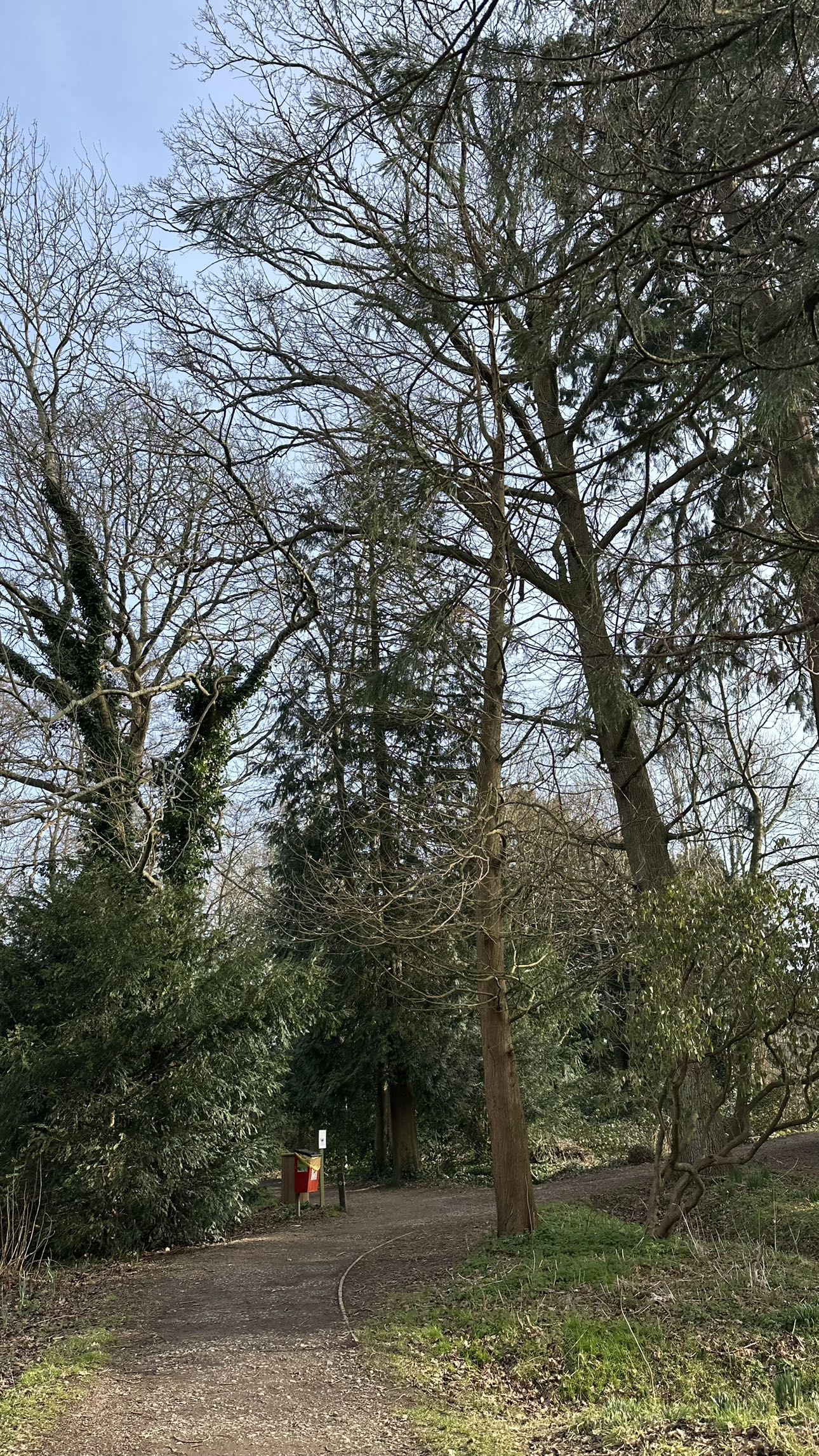 mira.0004 snapchat image archive image