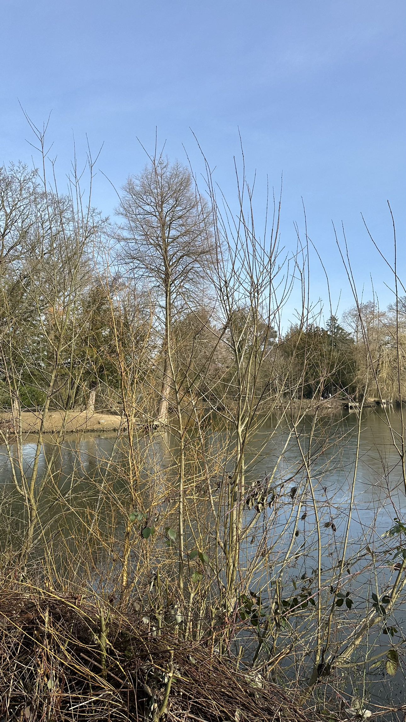 mira.0004 snapchat image archive image