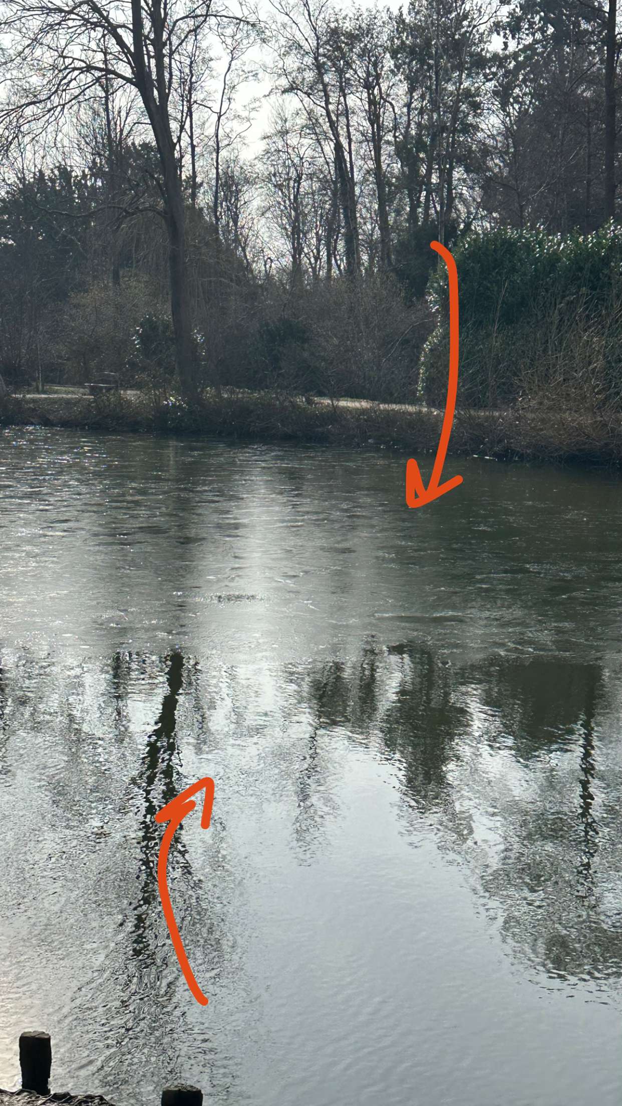 mira.0004 snapchat image archive image