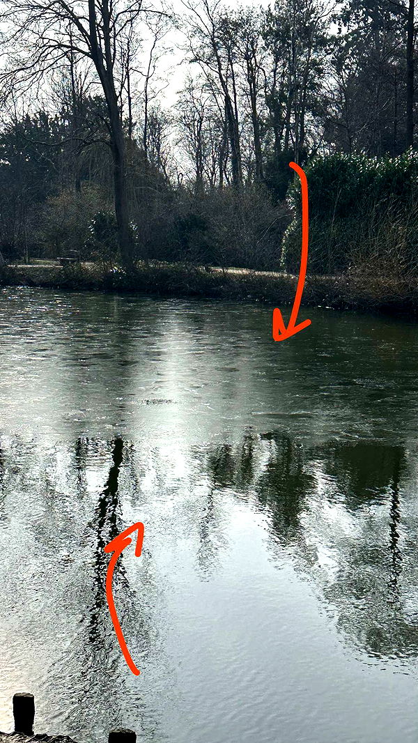 mira.0004 image ~ Altpins