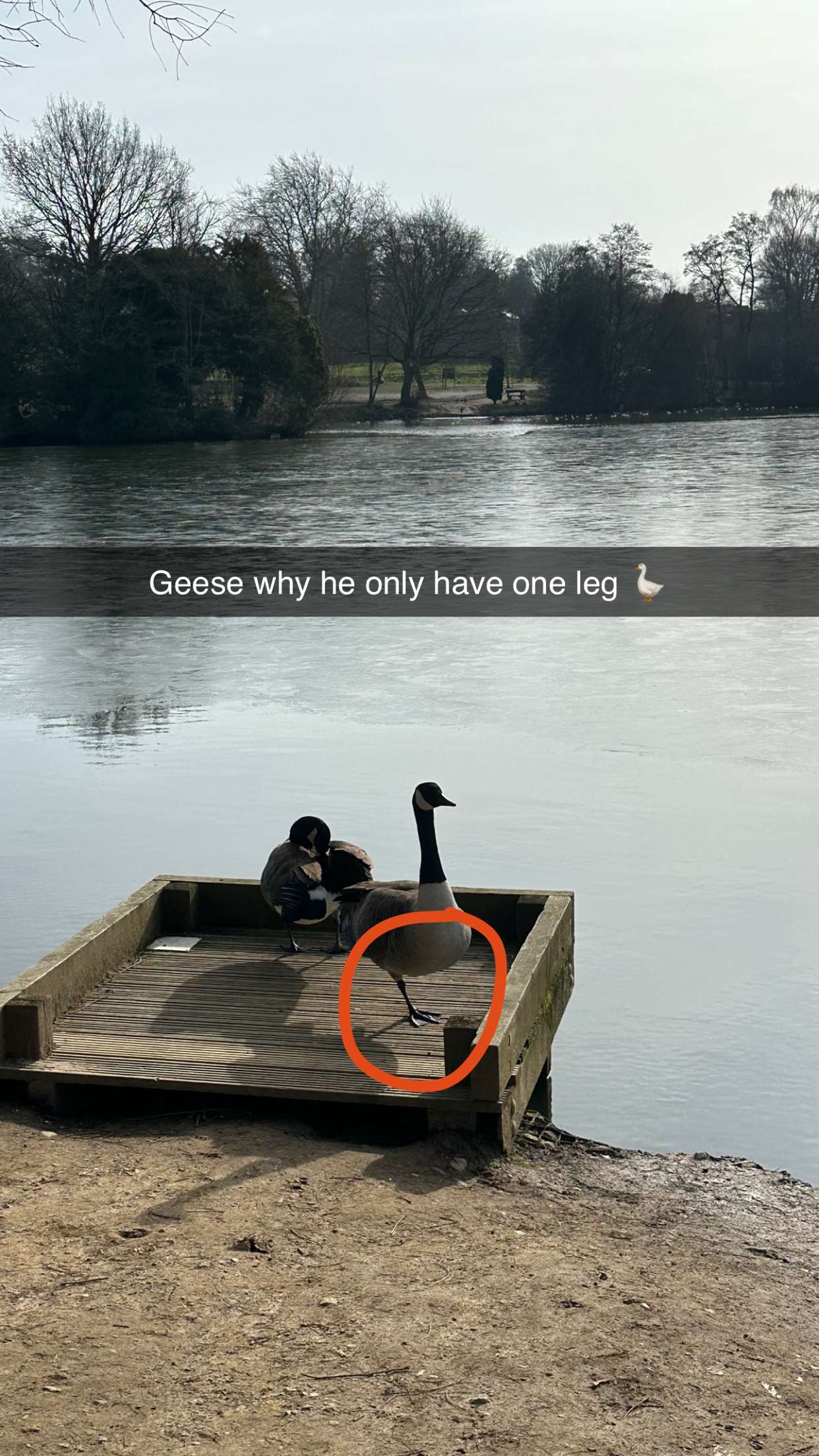 mira.0004 snapchat image archive image