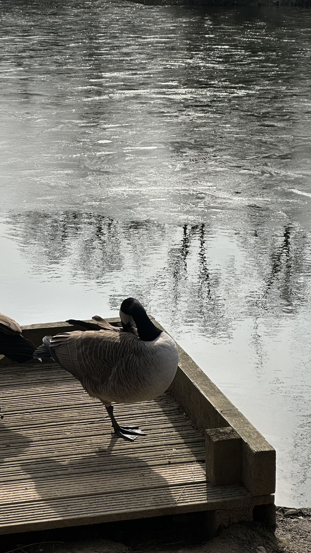 mira.0004 snapchat image archive image