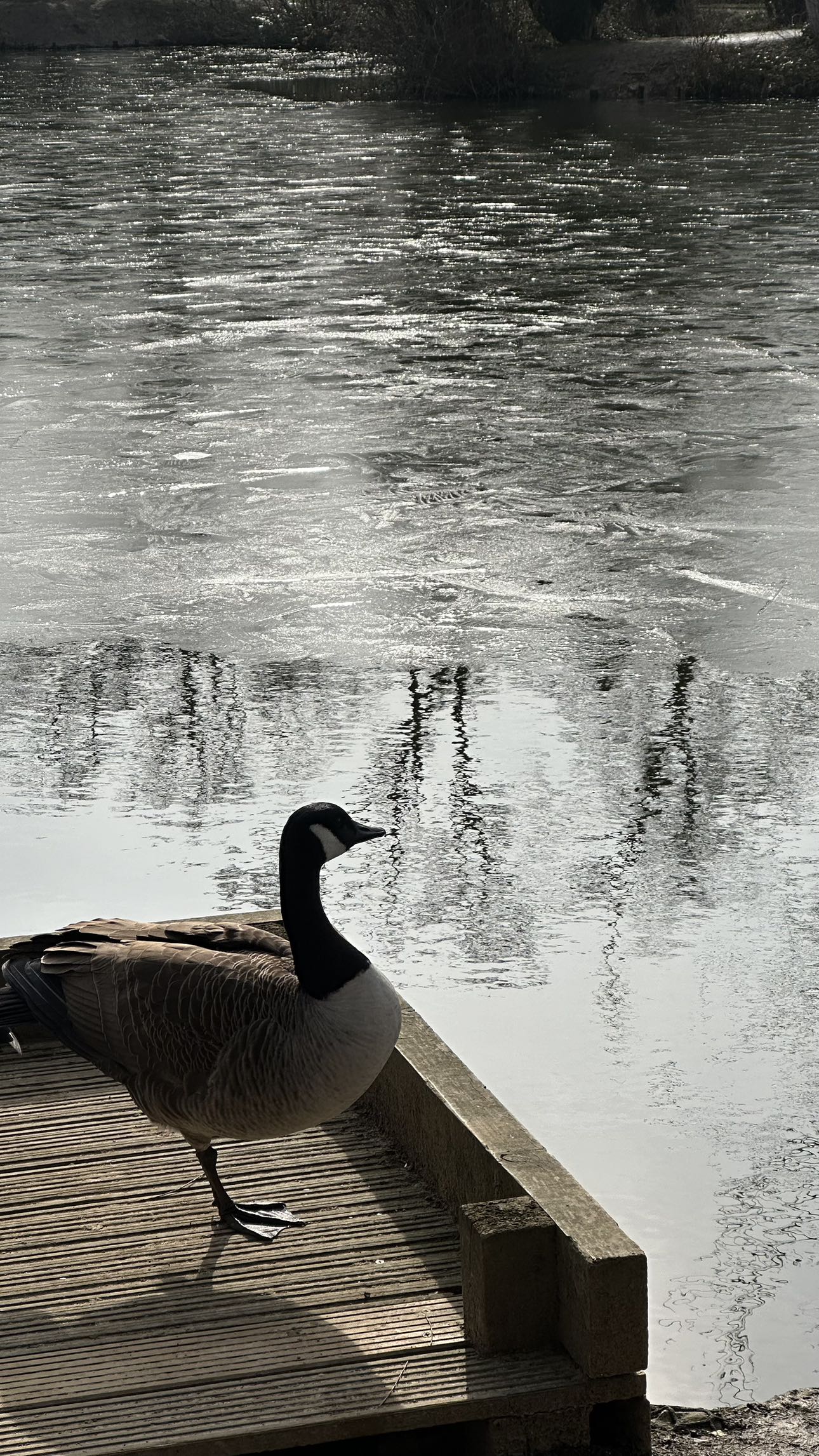 mira.0004 snapchat image archive image