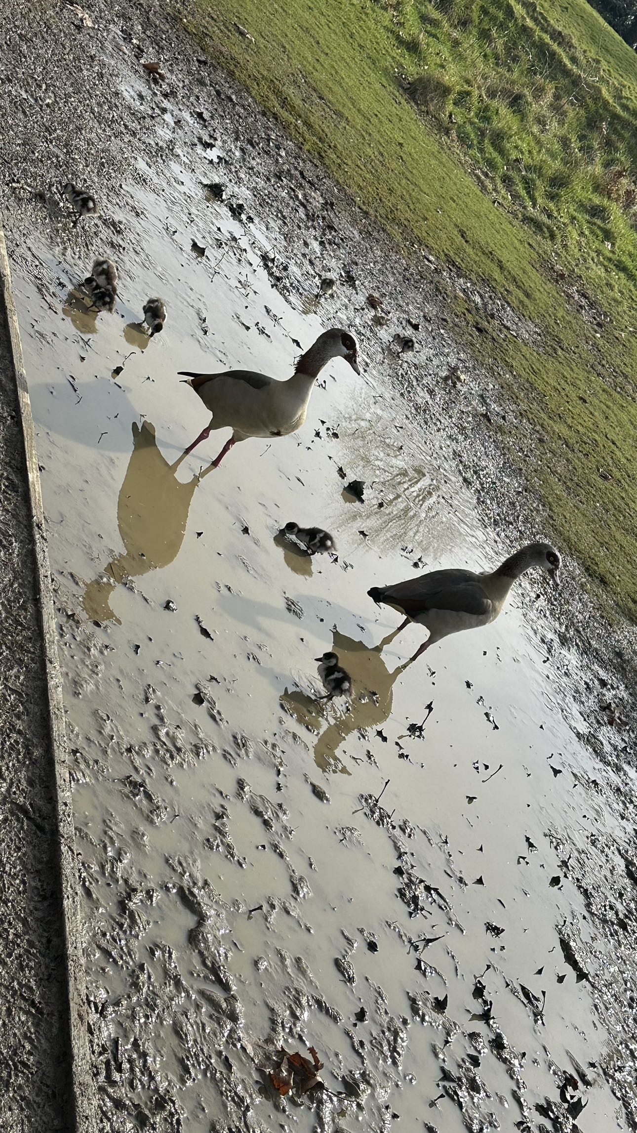 mira.0004 snapchat image archive image