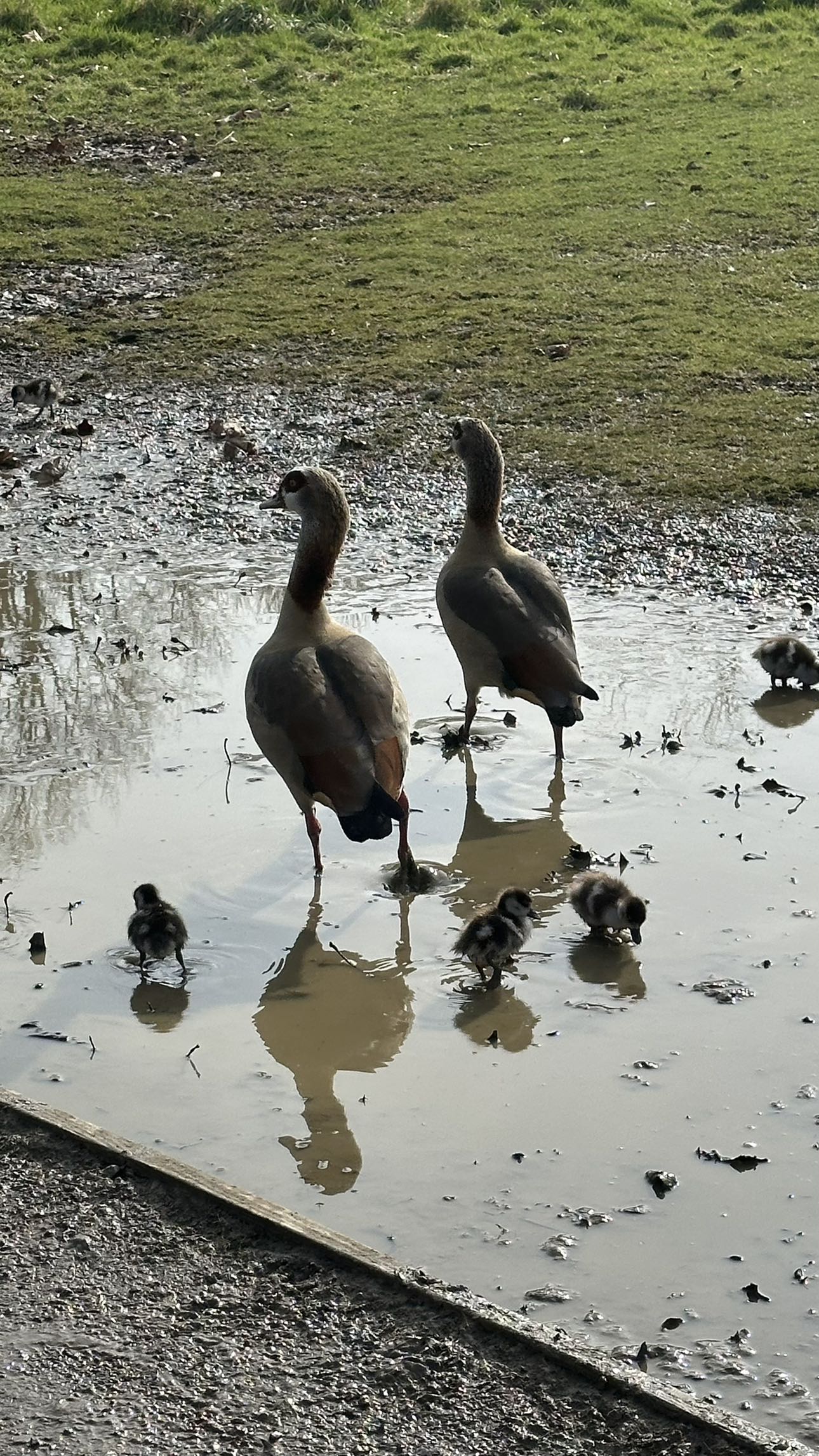 mira.0004 snapchat image archive image