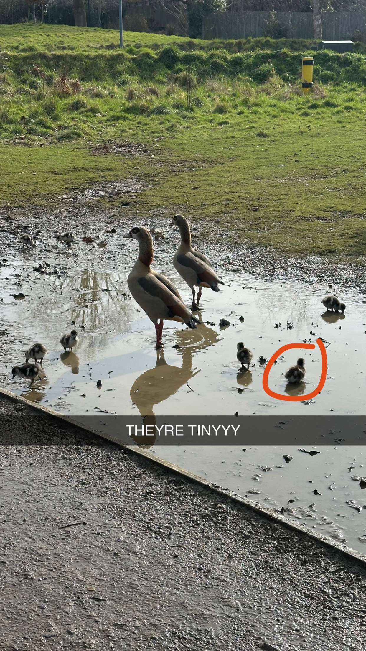 mira.0004 snapchat image archive image