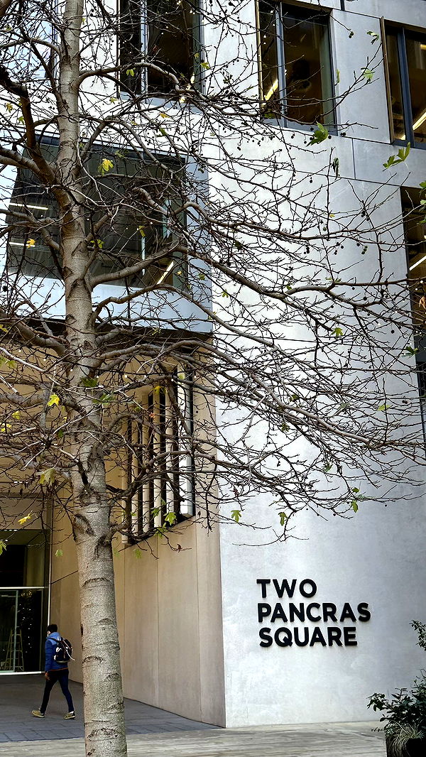 mira.0004 image ~ Altpins