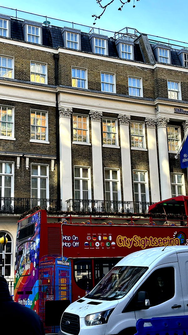 mira.0004 image ~ Altpins