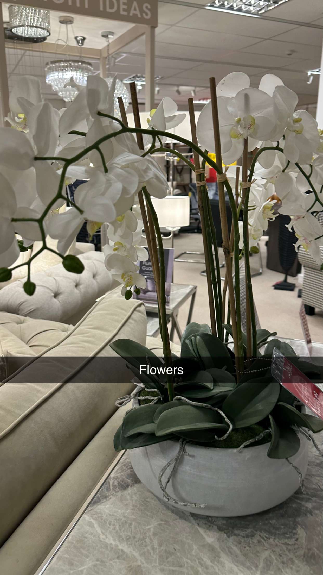 mira.0004 snapchat image archive image