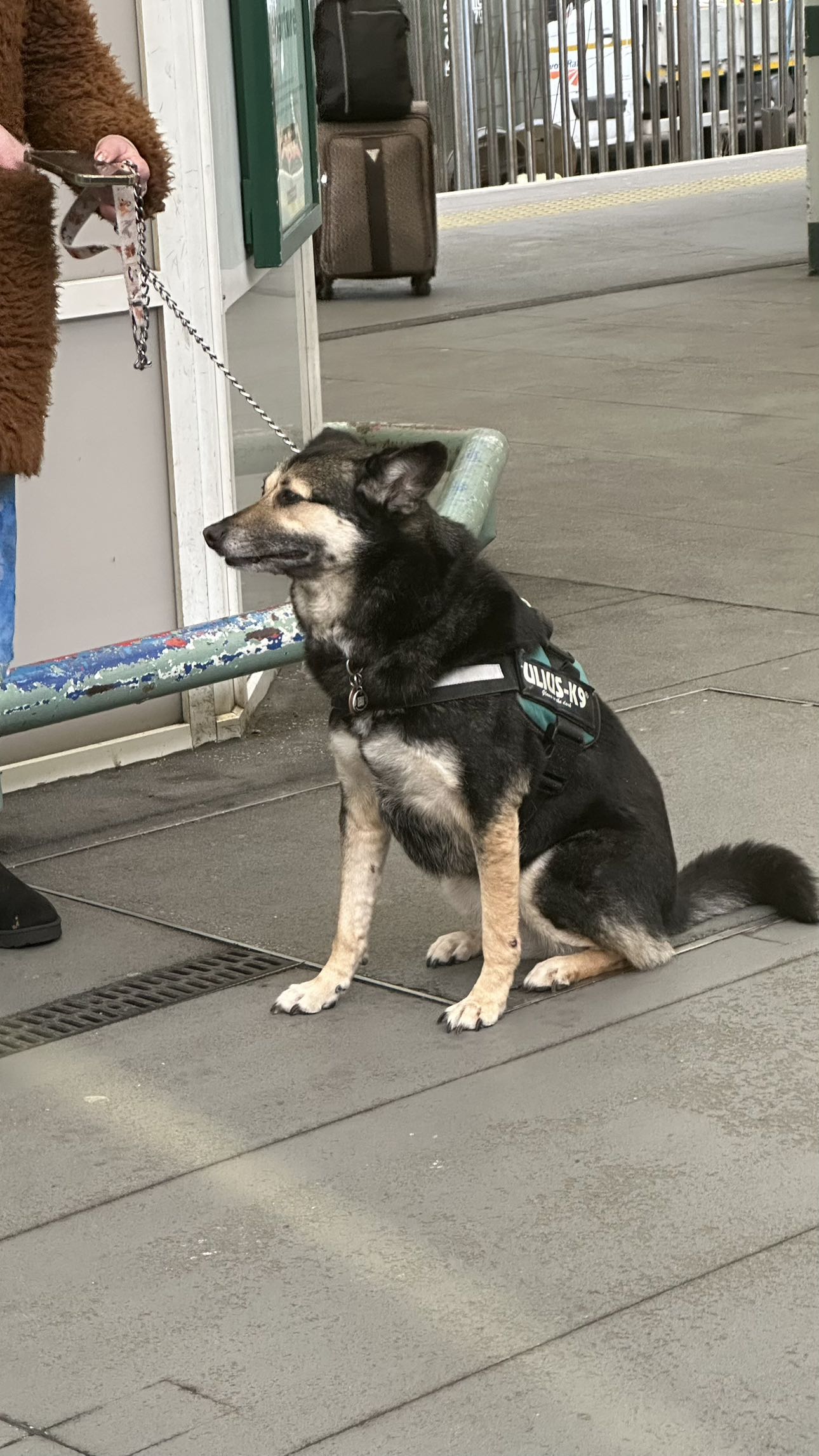 mira.0004 snapchat image archive image