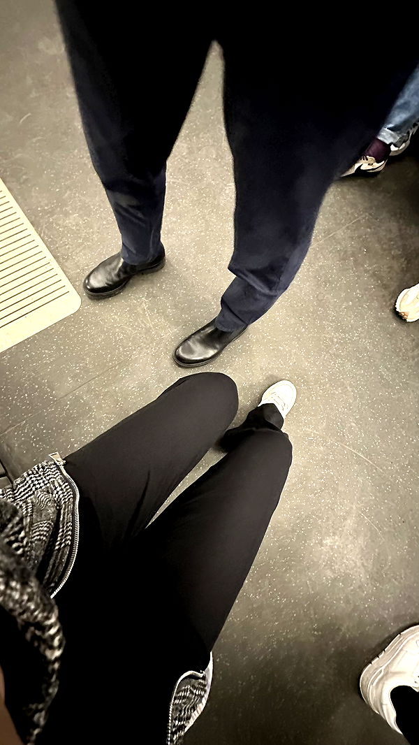 mira.0004 image ~ Altpins