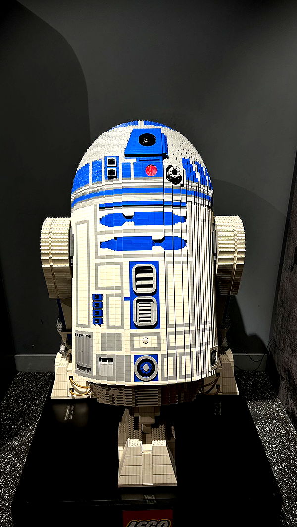 mira.0004 image ~ Altpins