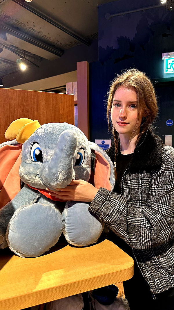 mira.0004 image ~ Altpins