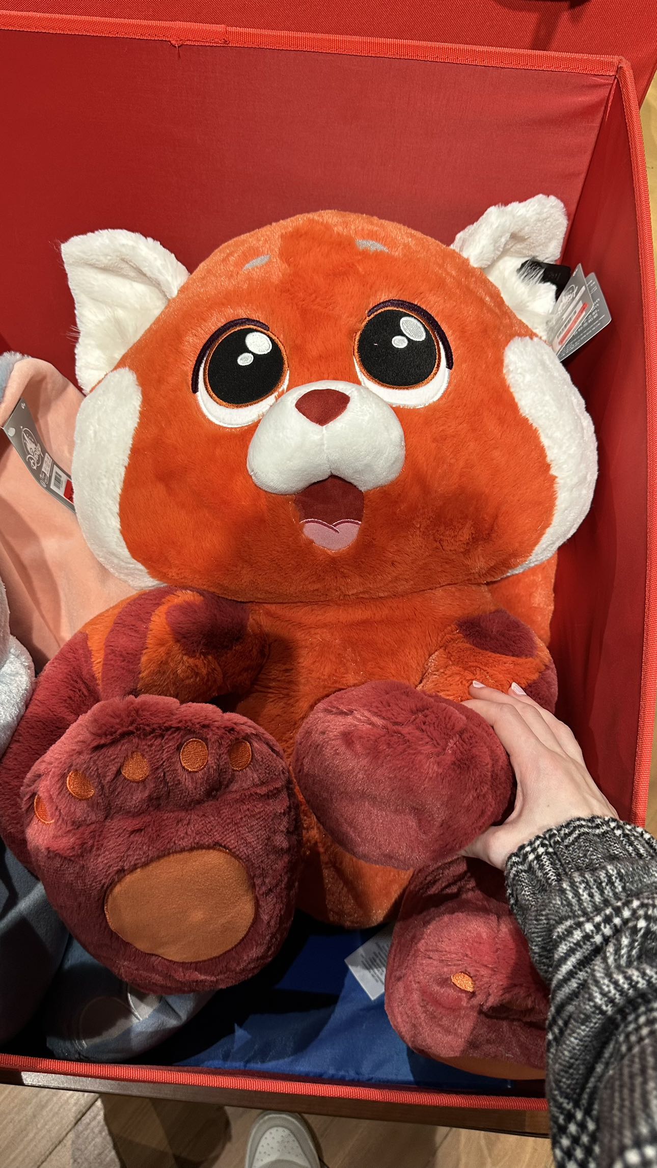 mira.0004 snapchat image archive image