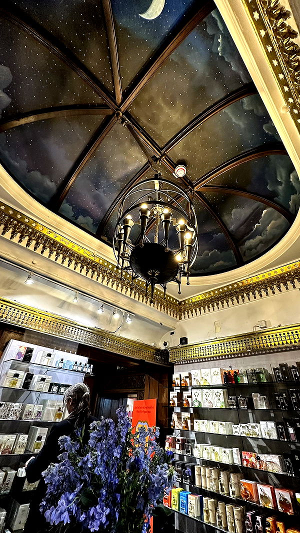 mira.0004 image ~ Altpins