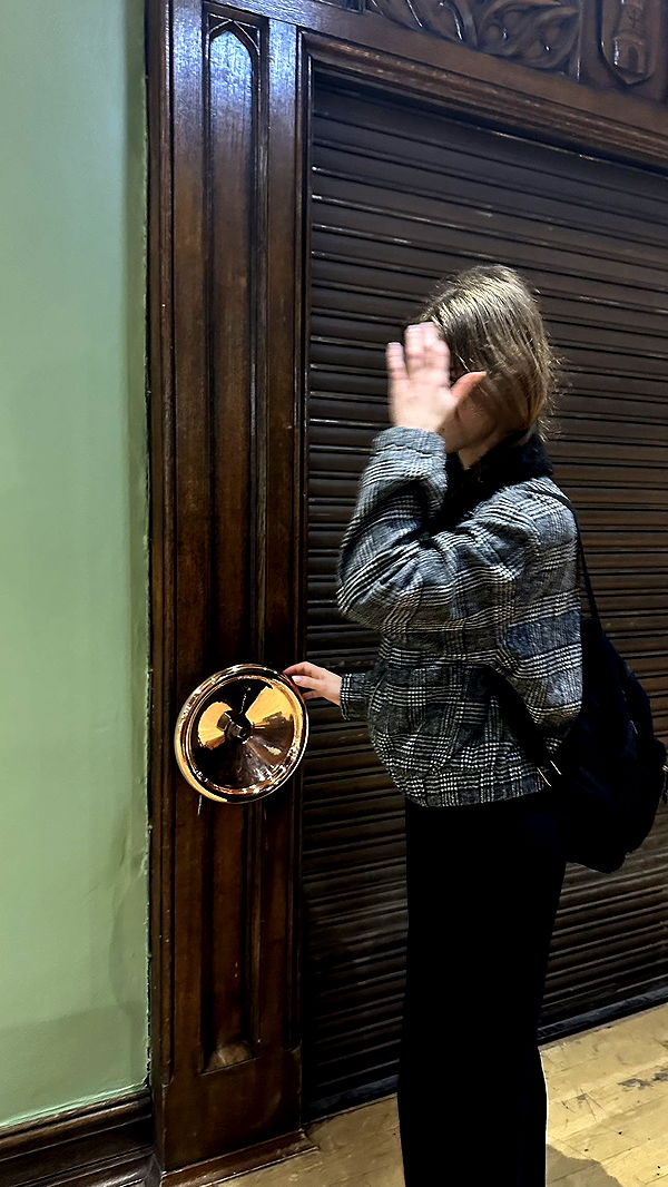 mira.0004 image ~ Altpins