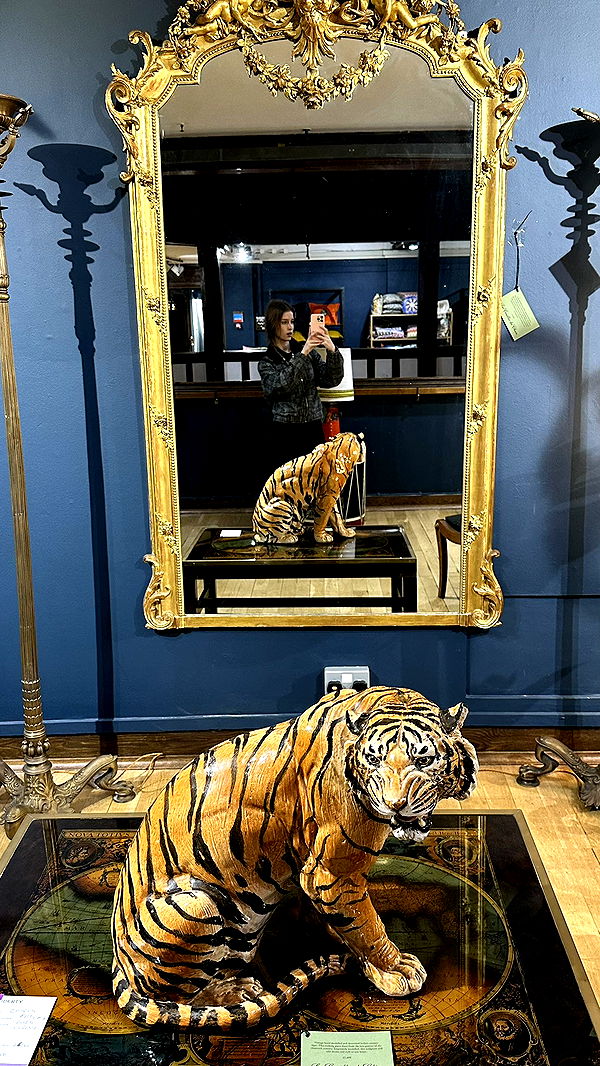 mira.0004 image ~ Altpins