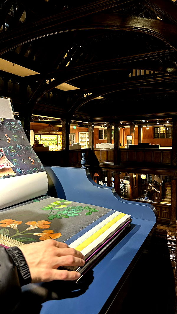 mira.0004 image ~ Altpins