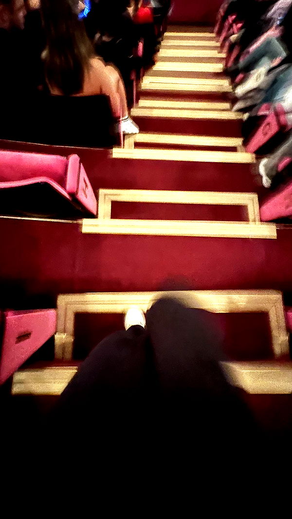 mira.0004 image ~ Altpins