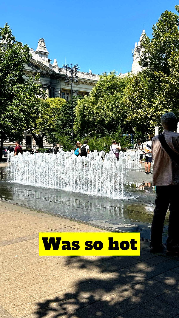 mira.0004 image ~ Altpins