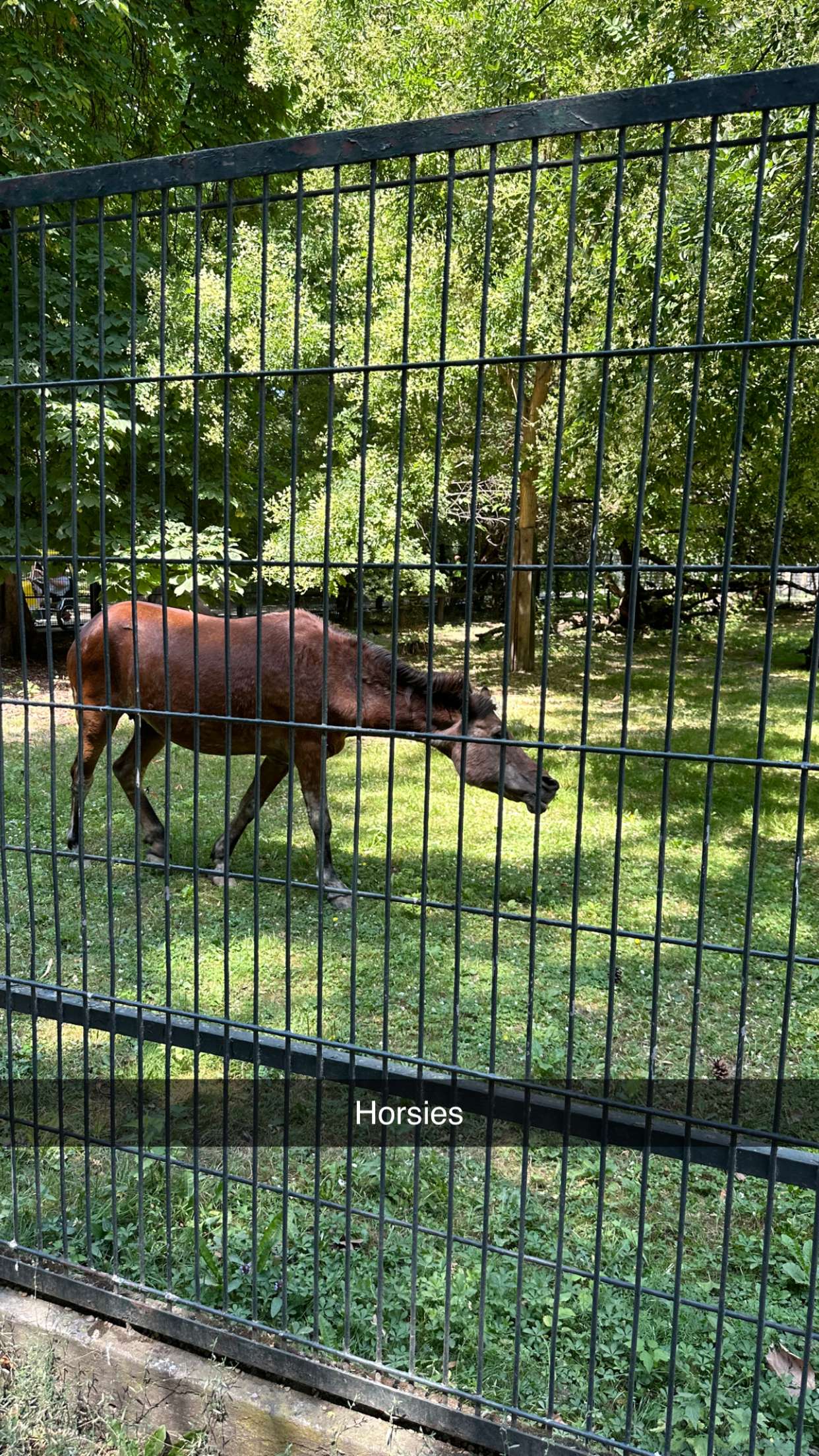 mira.0004 snapchat image archive image