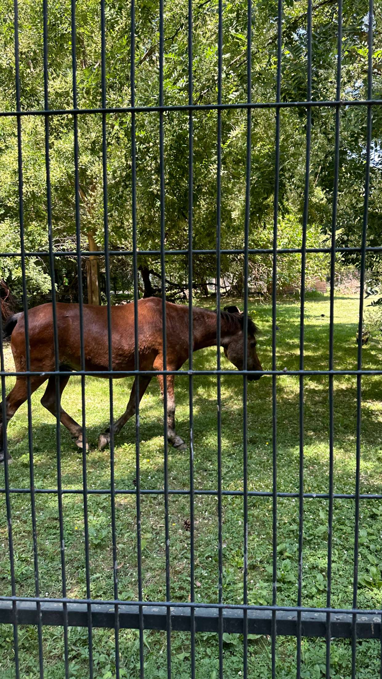 mira.0004 snapchat image archive image