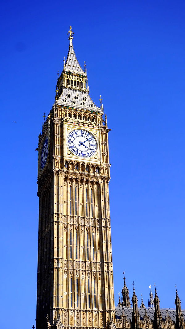 mira.0004 image ~ Altpins