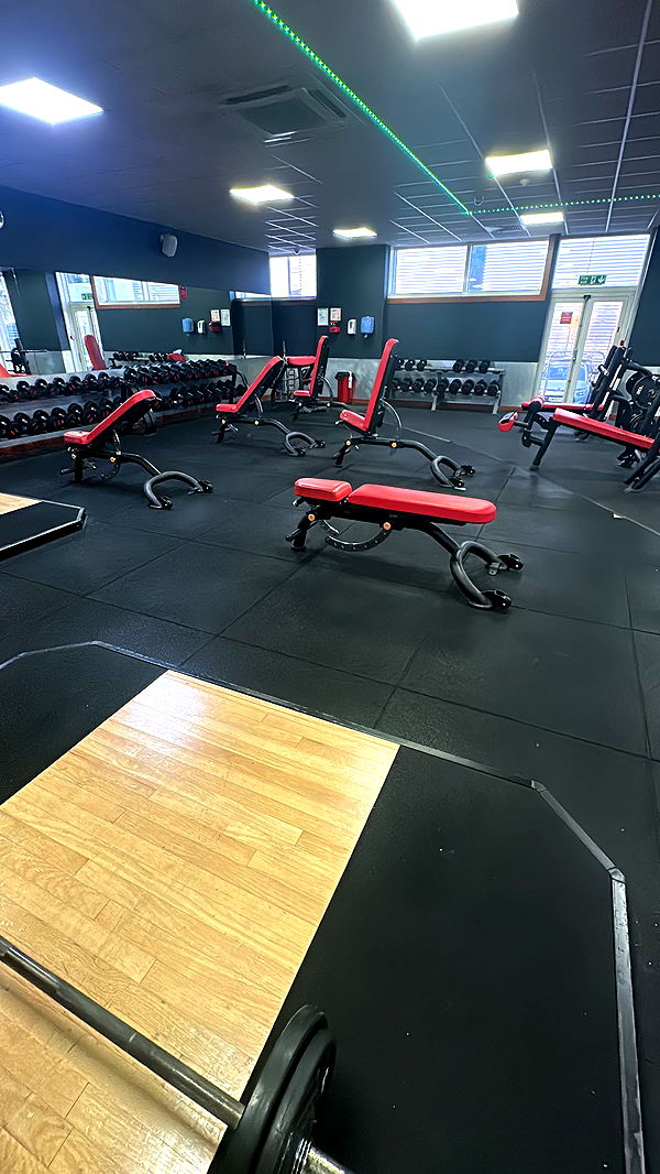 mira.0004 image ~ Altpins