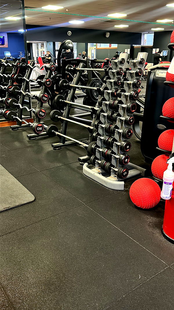 mira.0004 image ~ Altpins