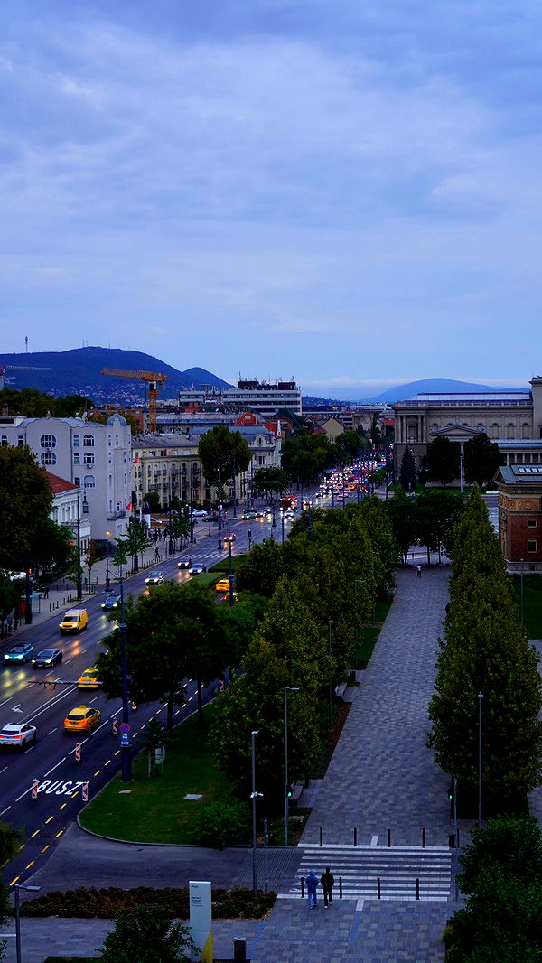 mira.0004 image ~ Altpins