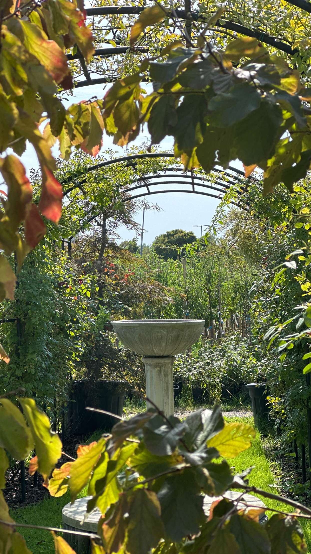 mira.0004 snapchat image archive image