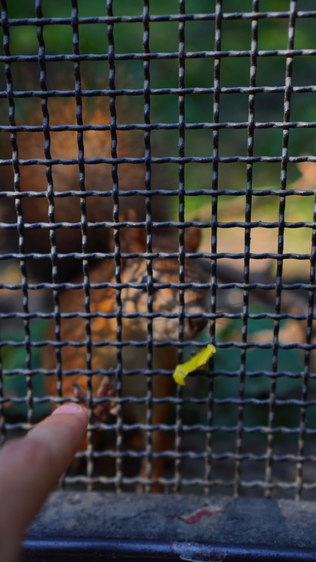 mira.0004 snapchat image archive image