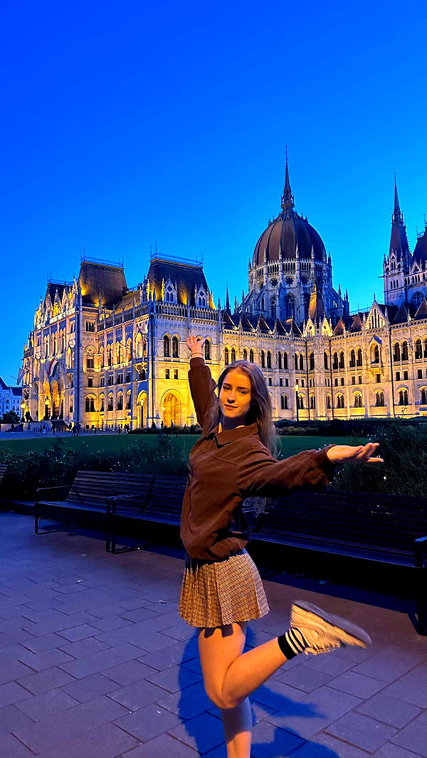 mira.0004 image ~ Altpins