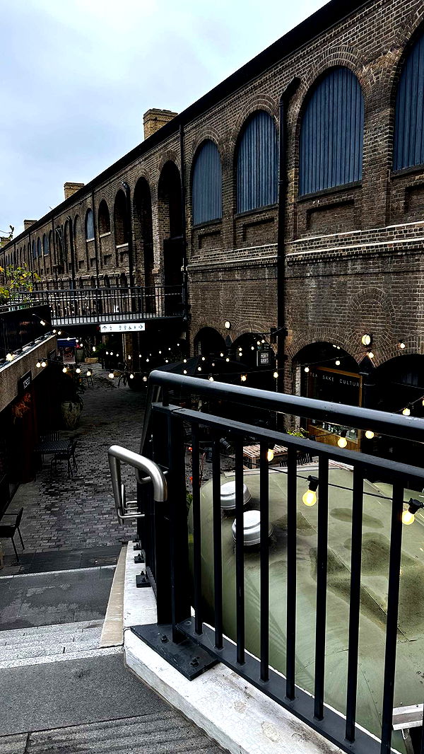 mira.0004 image ~ Altpins