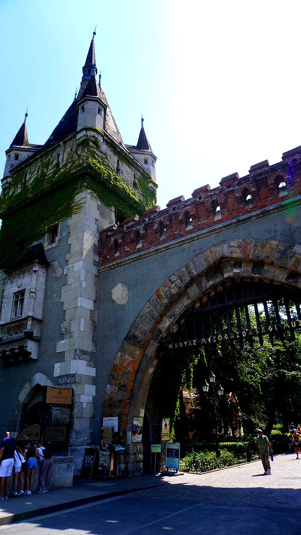 mira.0004 image ~ Altpins