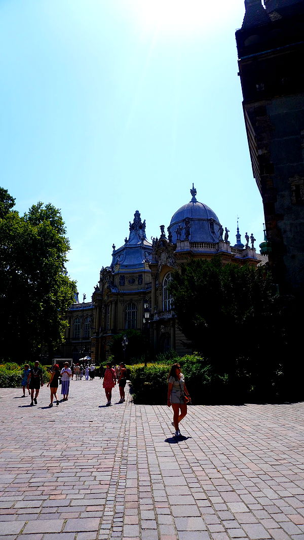 mira.0004 image ~ Altpins