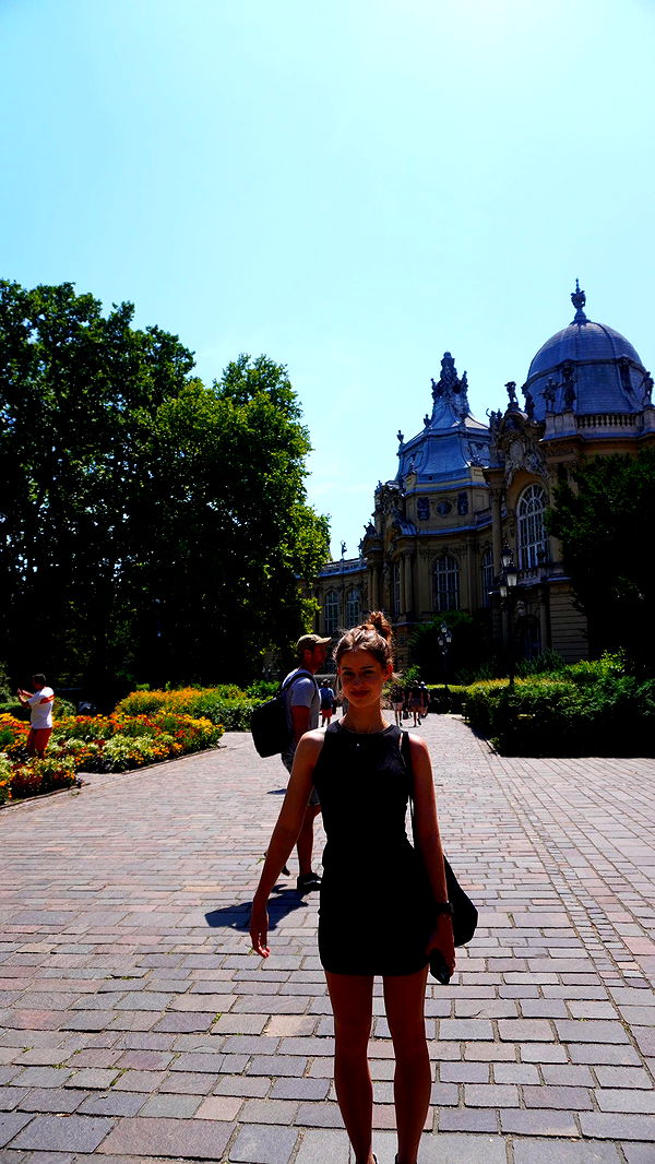 mira.0004 image ~ Altpins