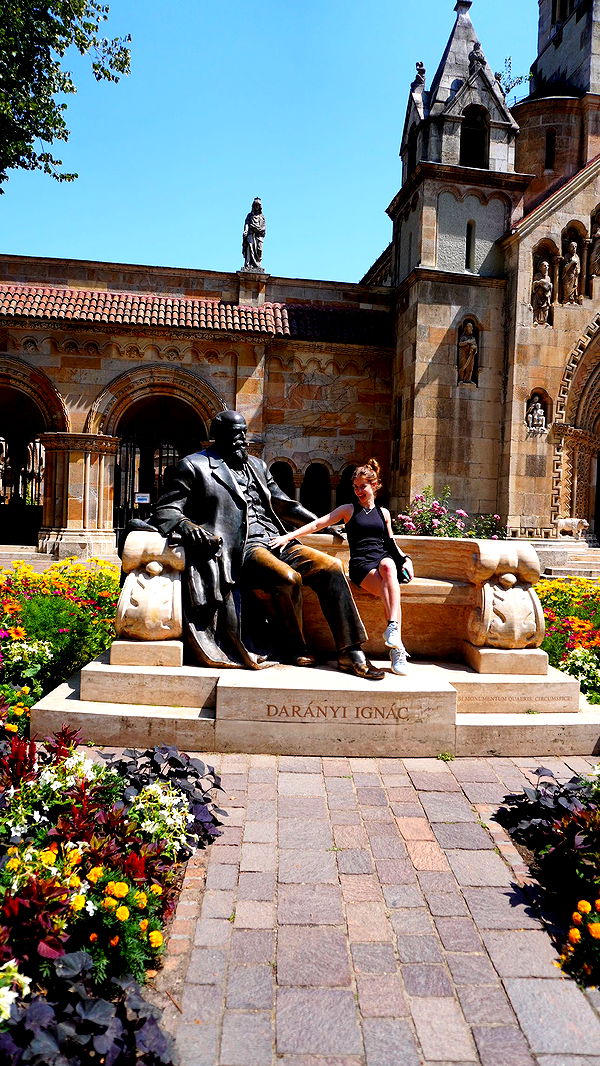 mira.0004 image ~ Altpins