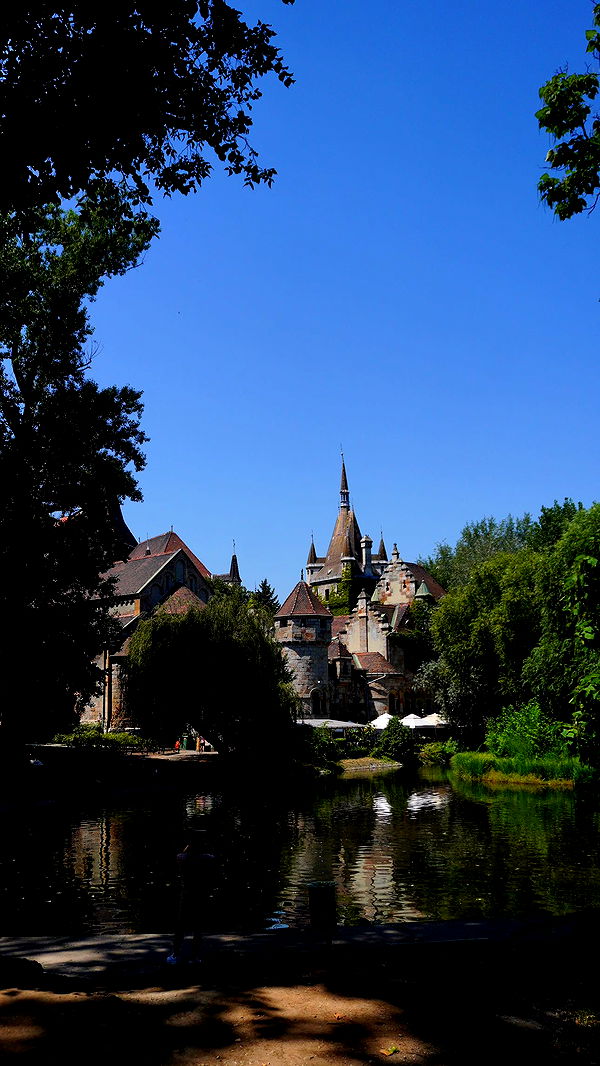 mira.0004 image ~ Altpins