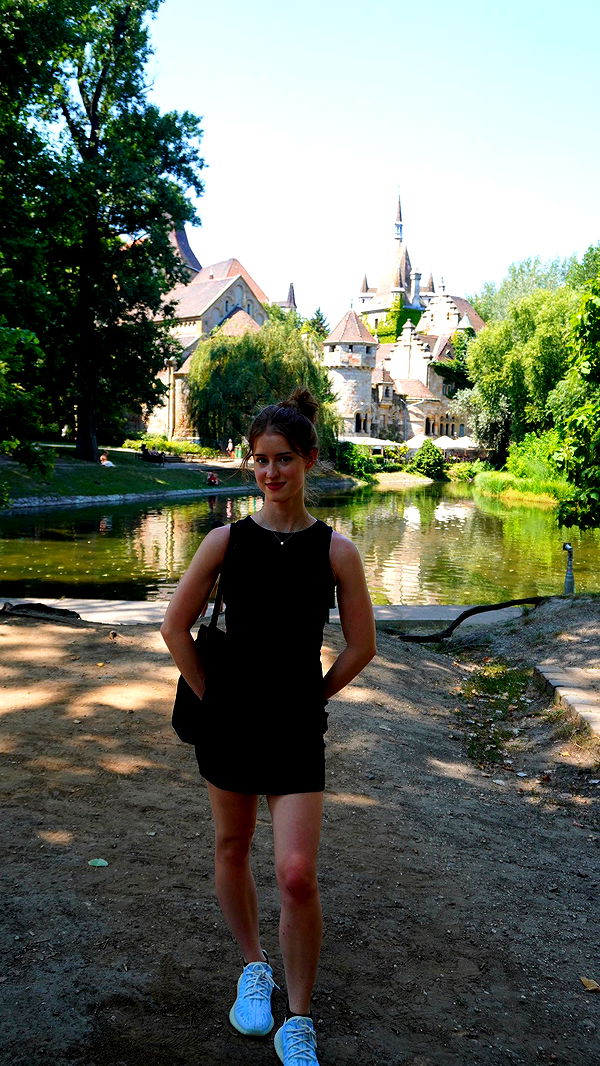 mira.0004 image ~ Altpins