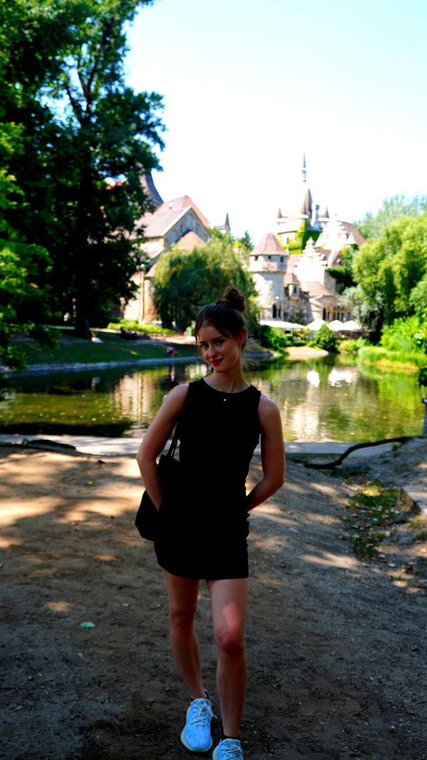 mira.0004 image ~ Altpins